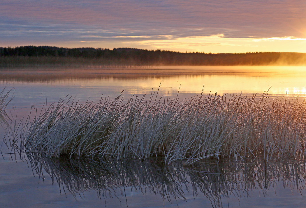 Valokuvaaja: Irma Kortekallio