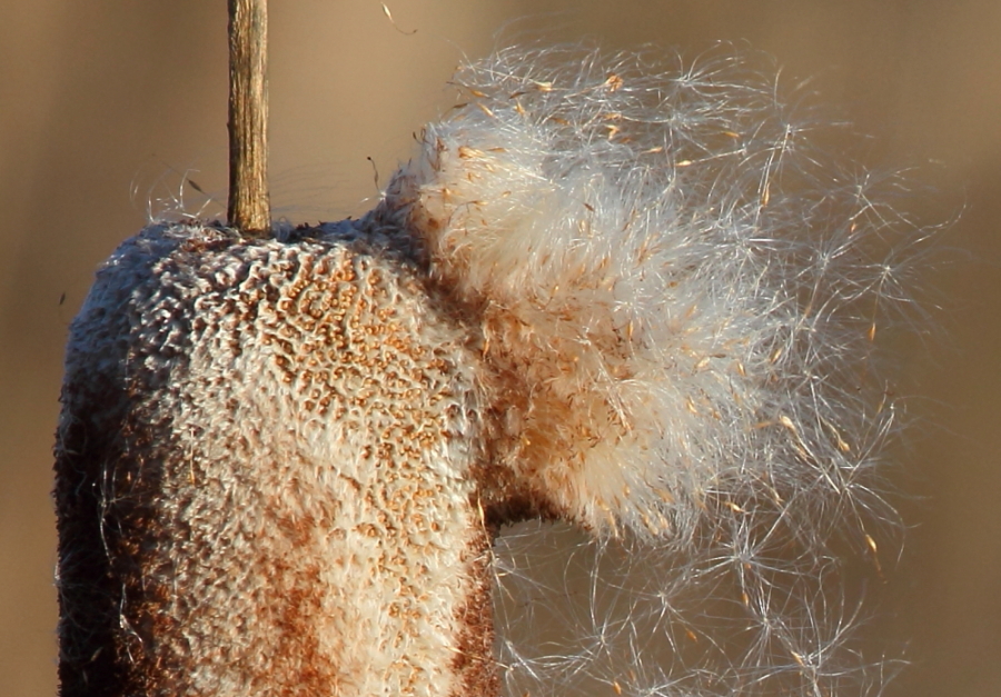 Valokuvaaja: Hanna Järvinen