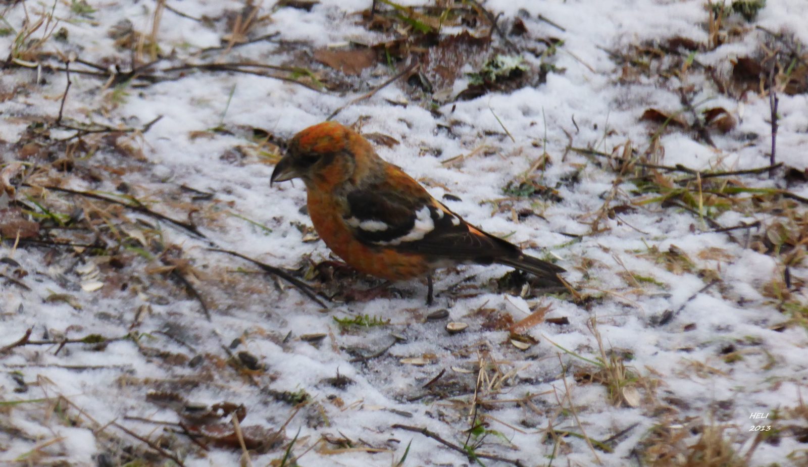 Valokuvaaja: Heli Korhonen