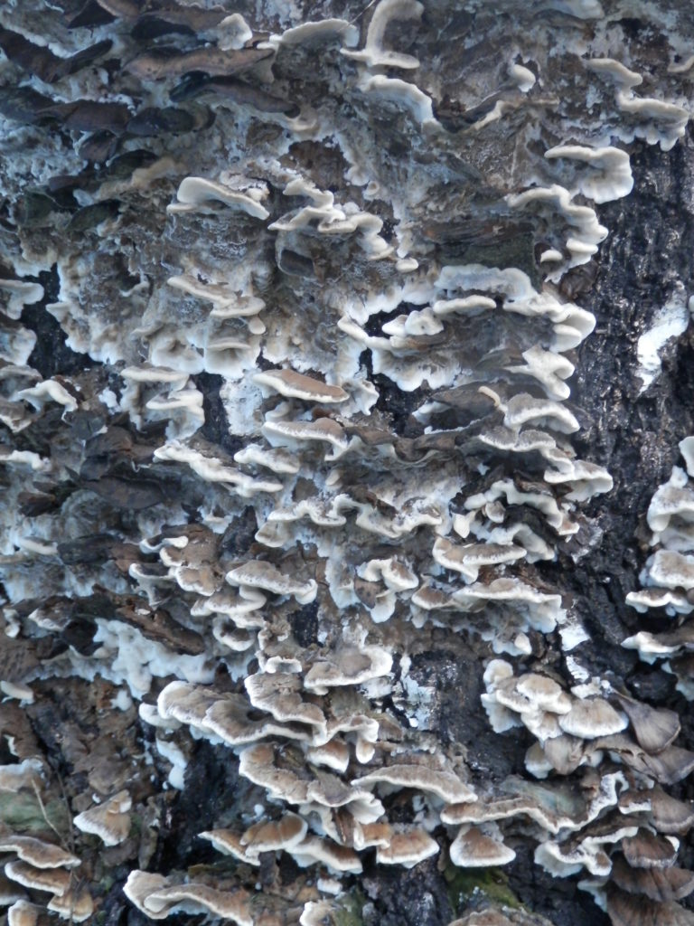 Valokuvaaja: anu keskitalo