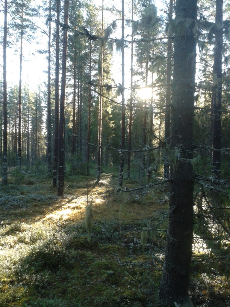 Valokuvaaja: Heli Heiniö
