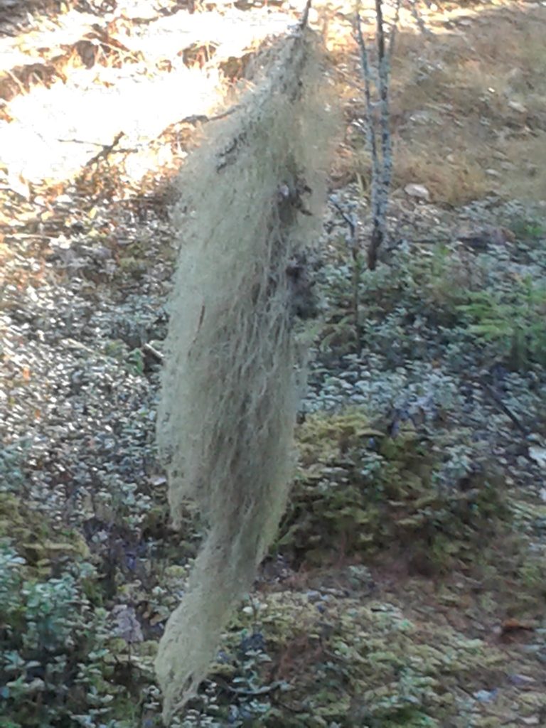 Valokuvaaja: Heli Heiniö