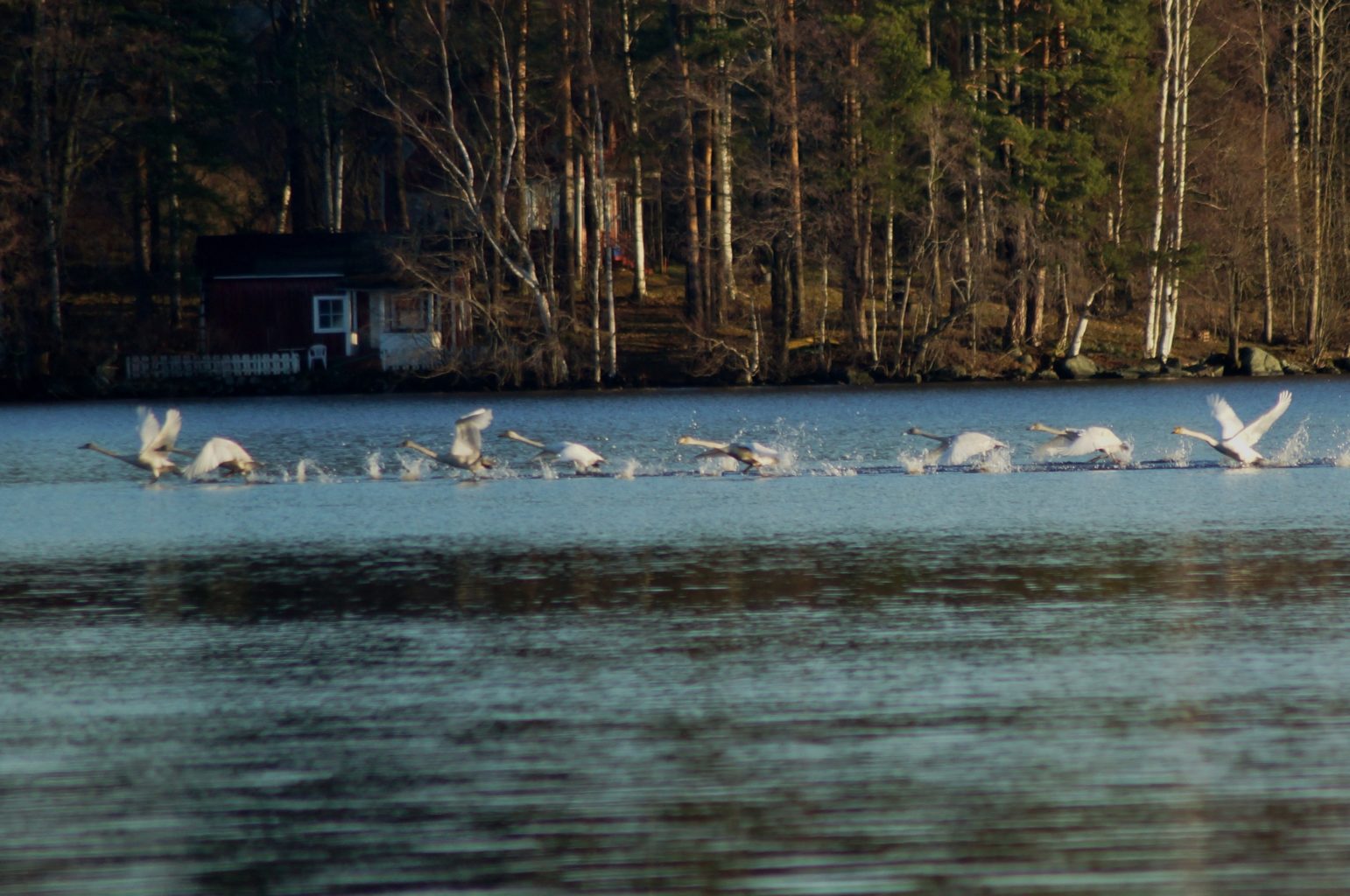 Valokuvaaja: Maarit Siitonen Valokuvaaja: Maarit Siitonen