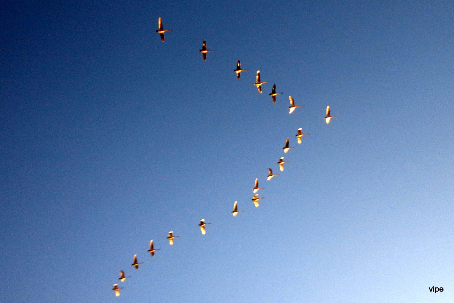 Valokuvaaja: Virpi Rastas