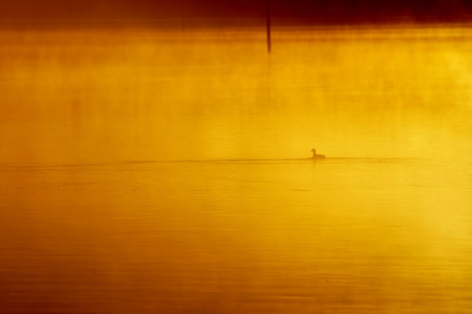 Valokuvaaja: Maarit Siitonen Valokuvaaja: Maarit Siitonen