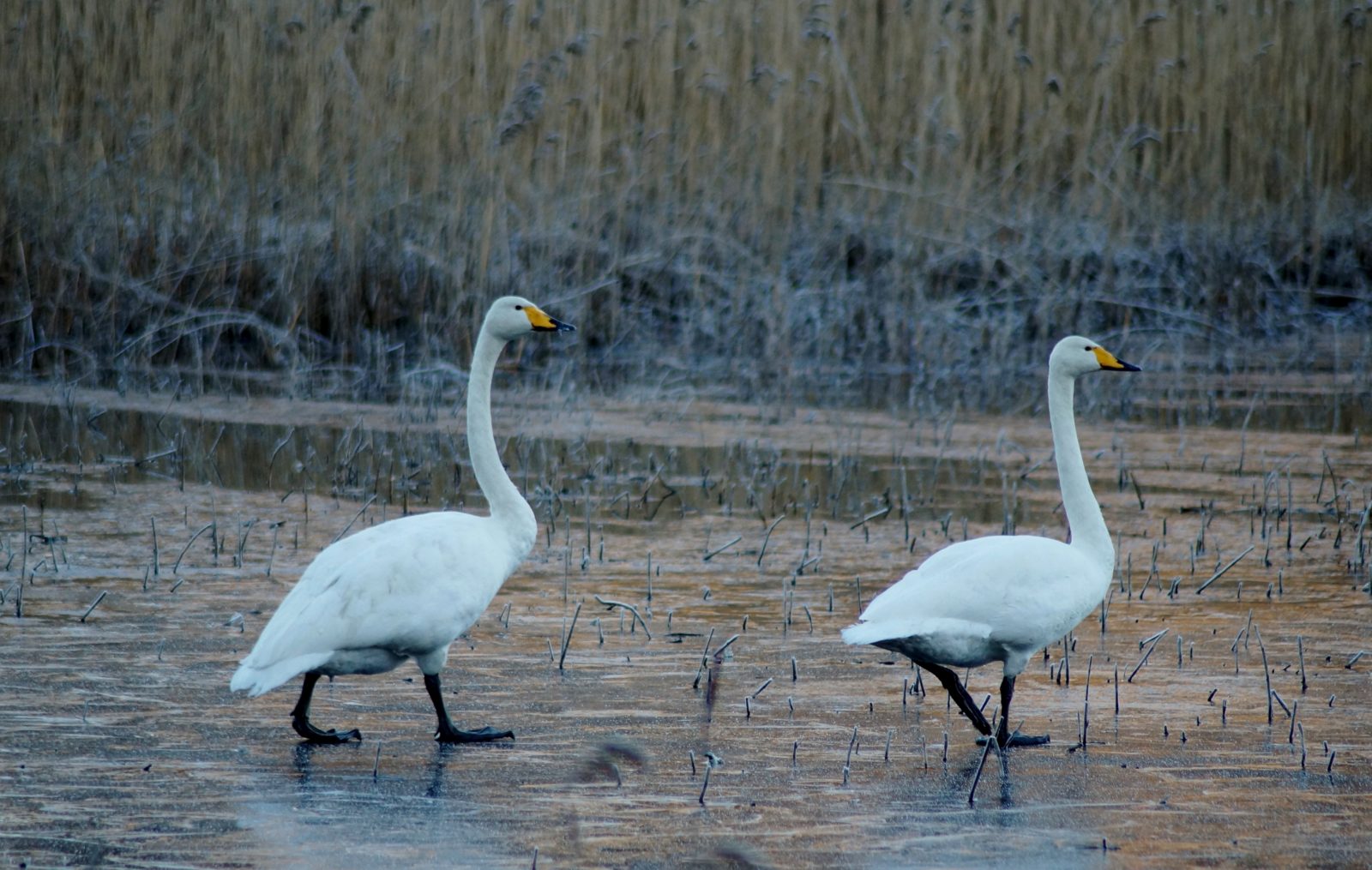 Valokuvaaja: Maarit Siitonen