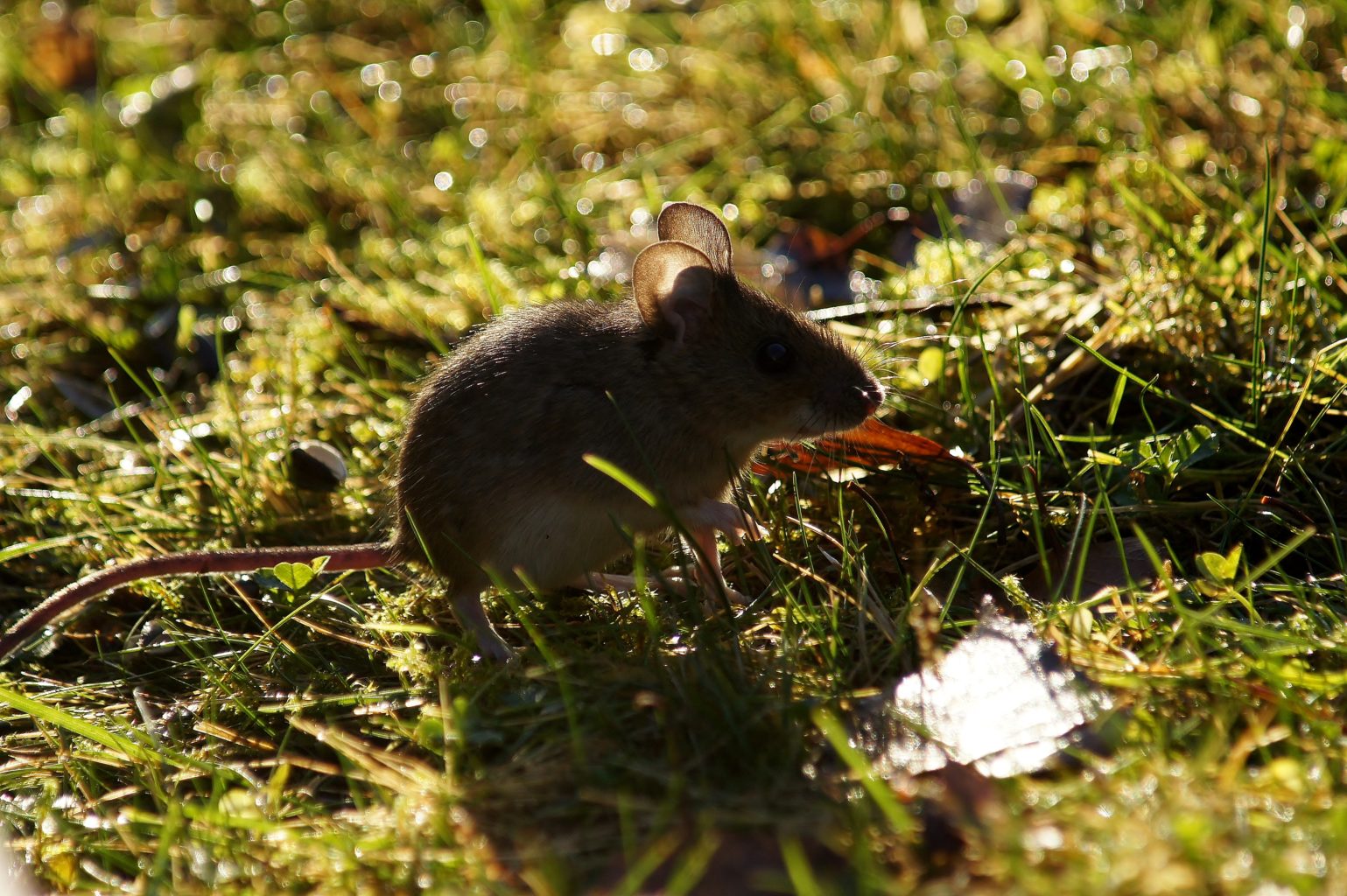 Valokuvaaja: Tuulikki Piikkilä