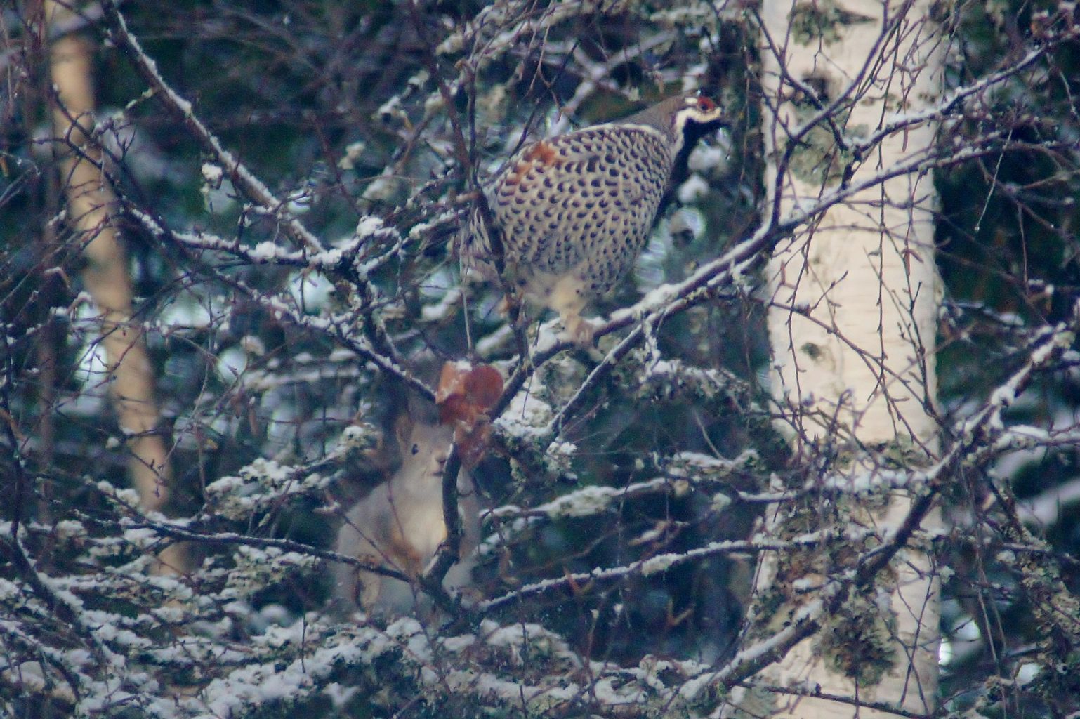 Valokuvaaja: Tuulikki Piikkilä