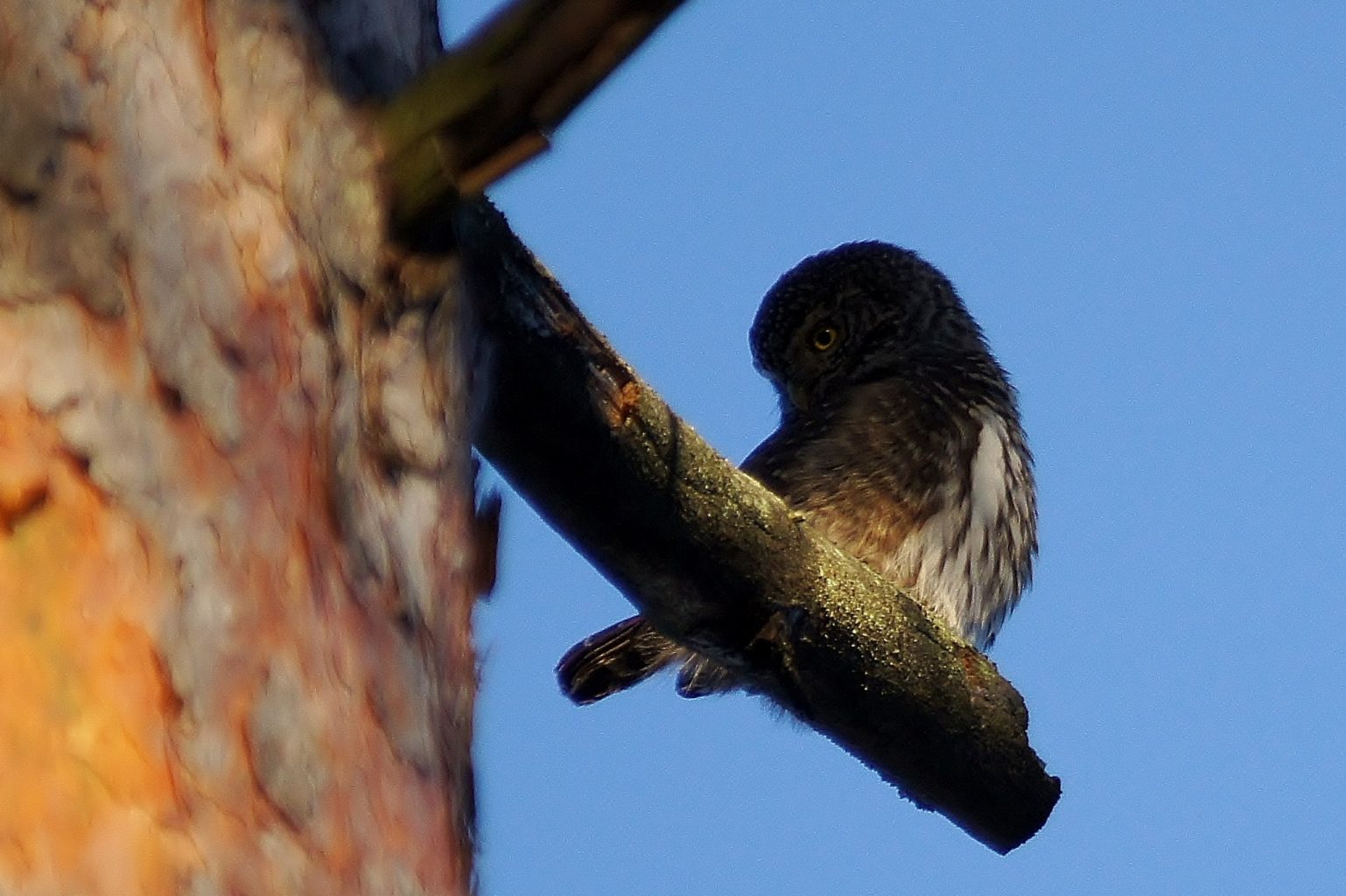 Valokuvaaja: Tuulikki Piikkilä