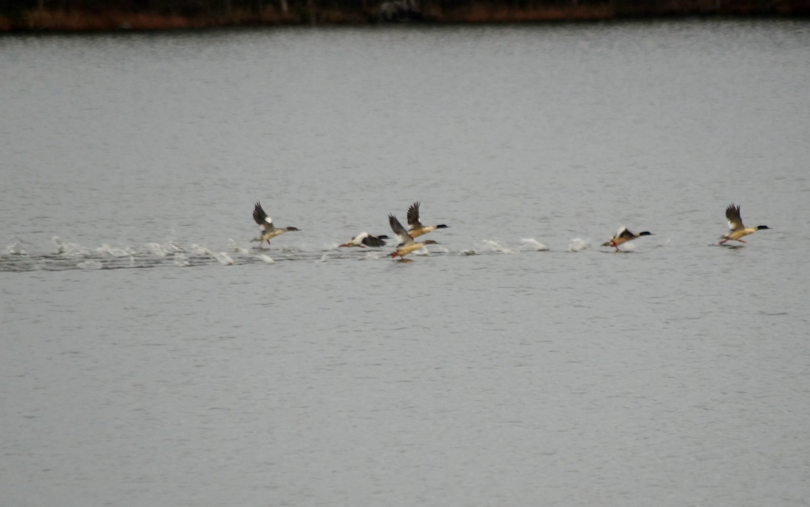 Valokuvaaja: Maarit Siitonen