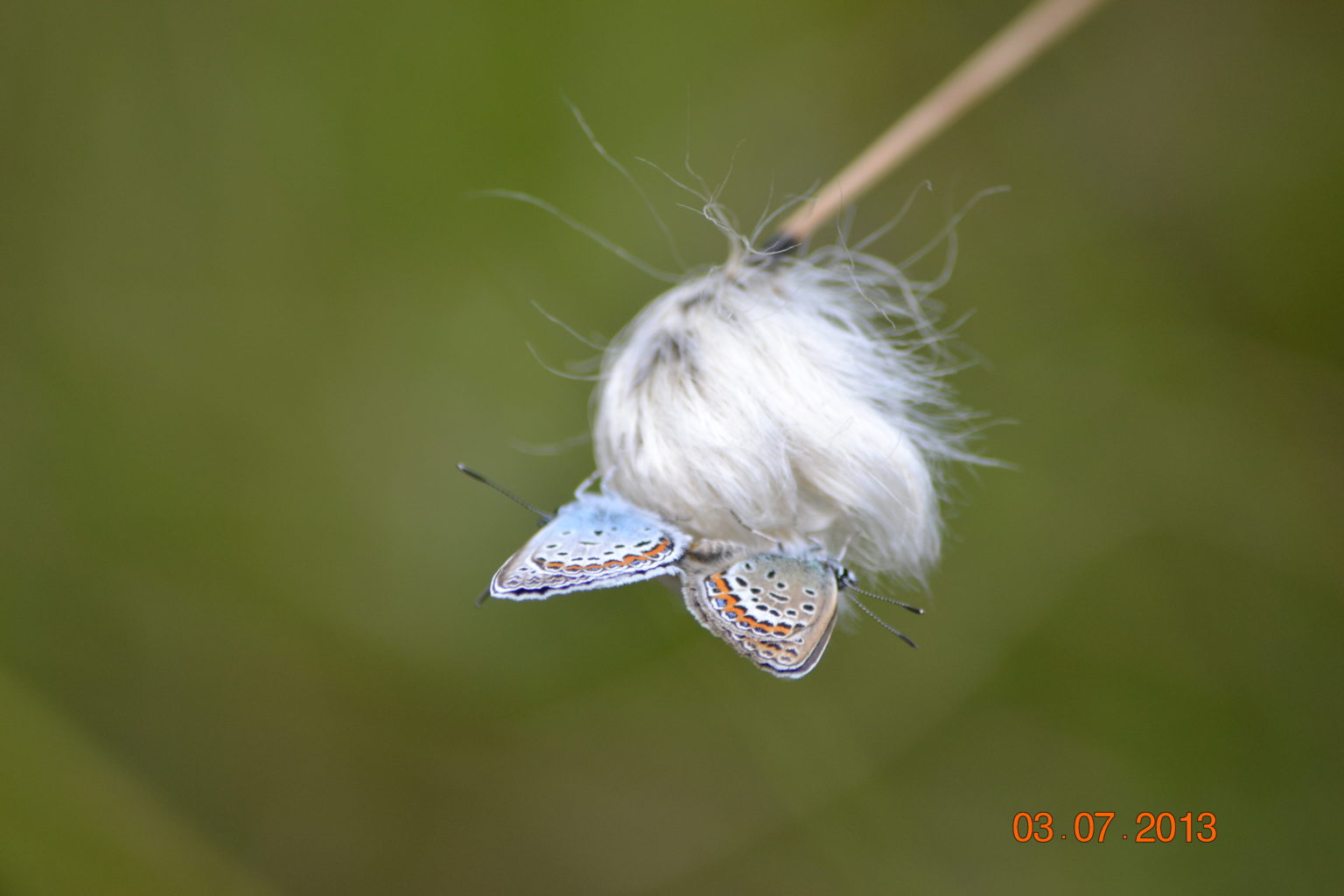 Valokuvaaja: Niilo Koskimäki