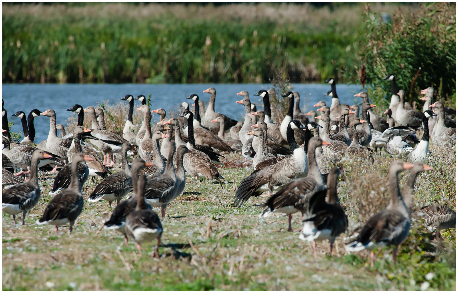 Valokuvaaja: Eino Hämäläinen
