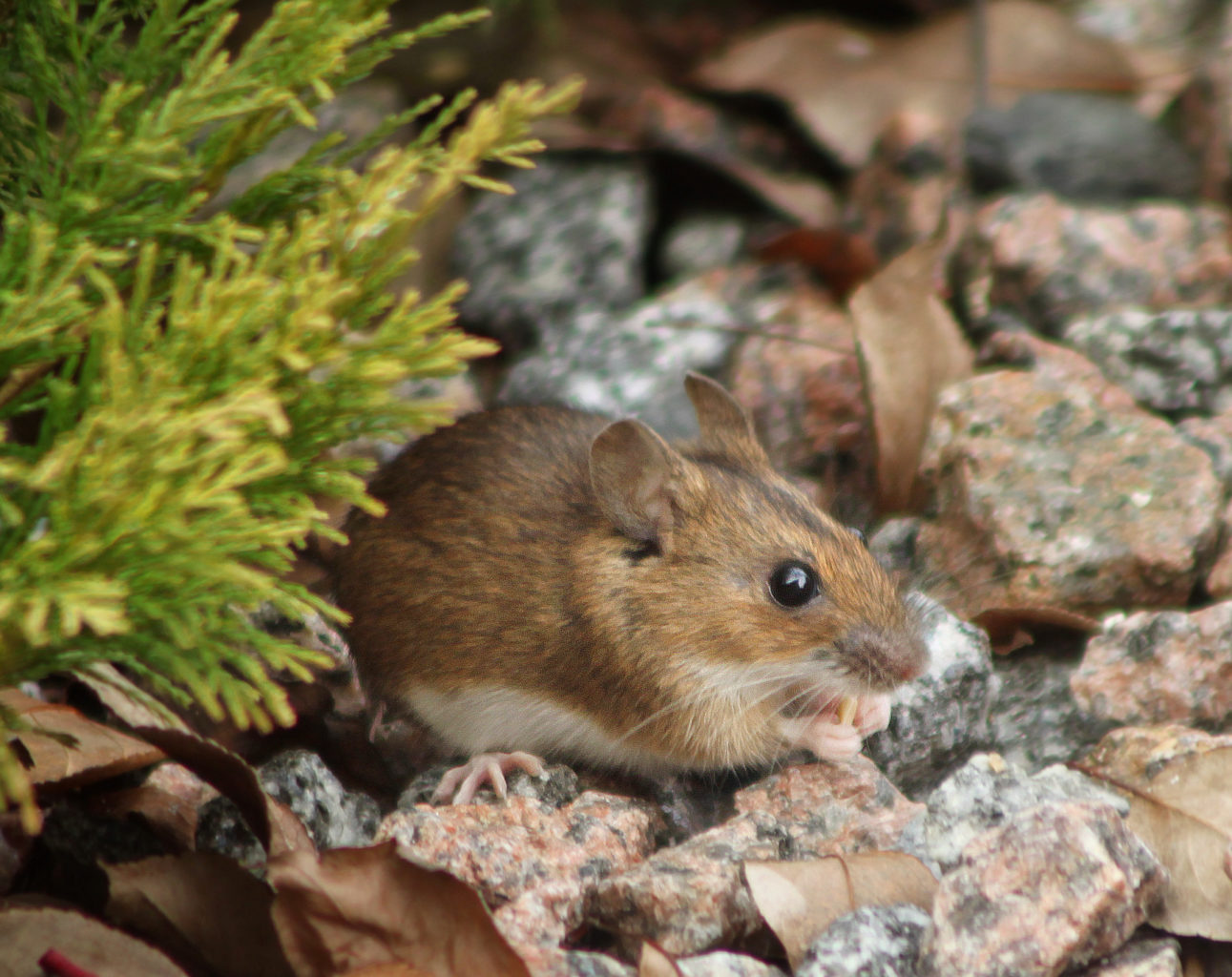 Valokuvaaja: Tarja Porkkala
