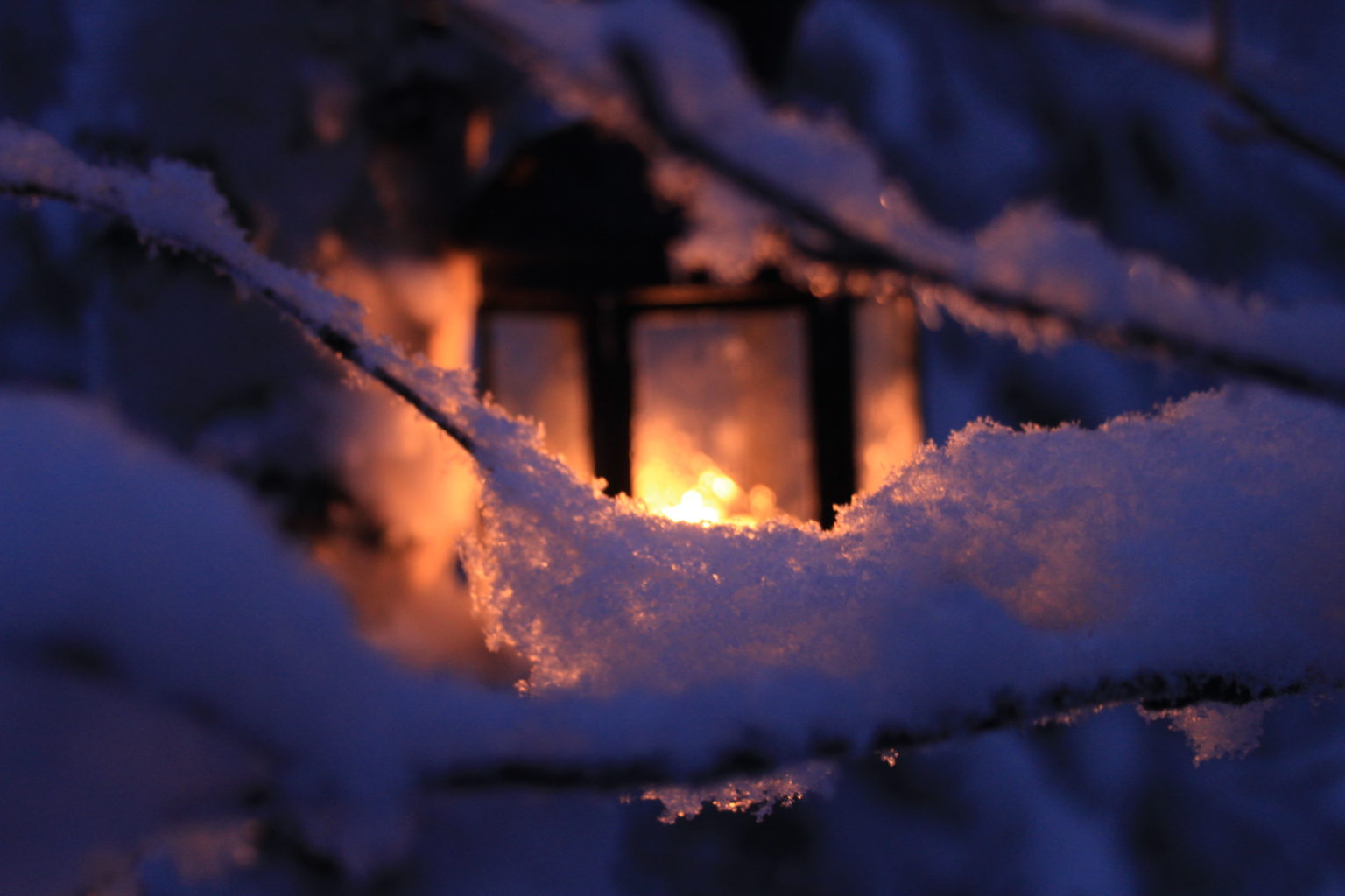 Valokuvaaja: Jon Rikberg