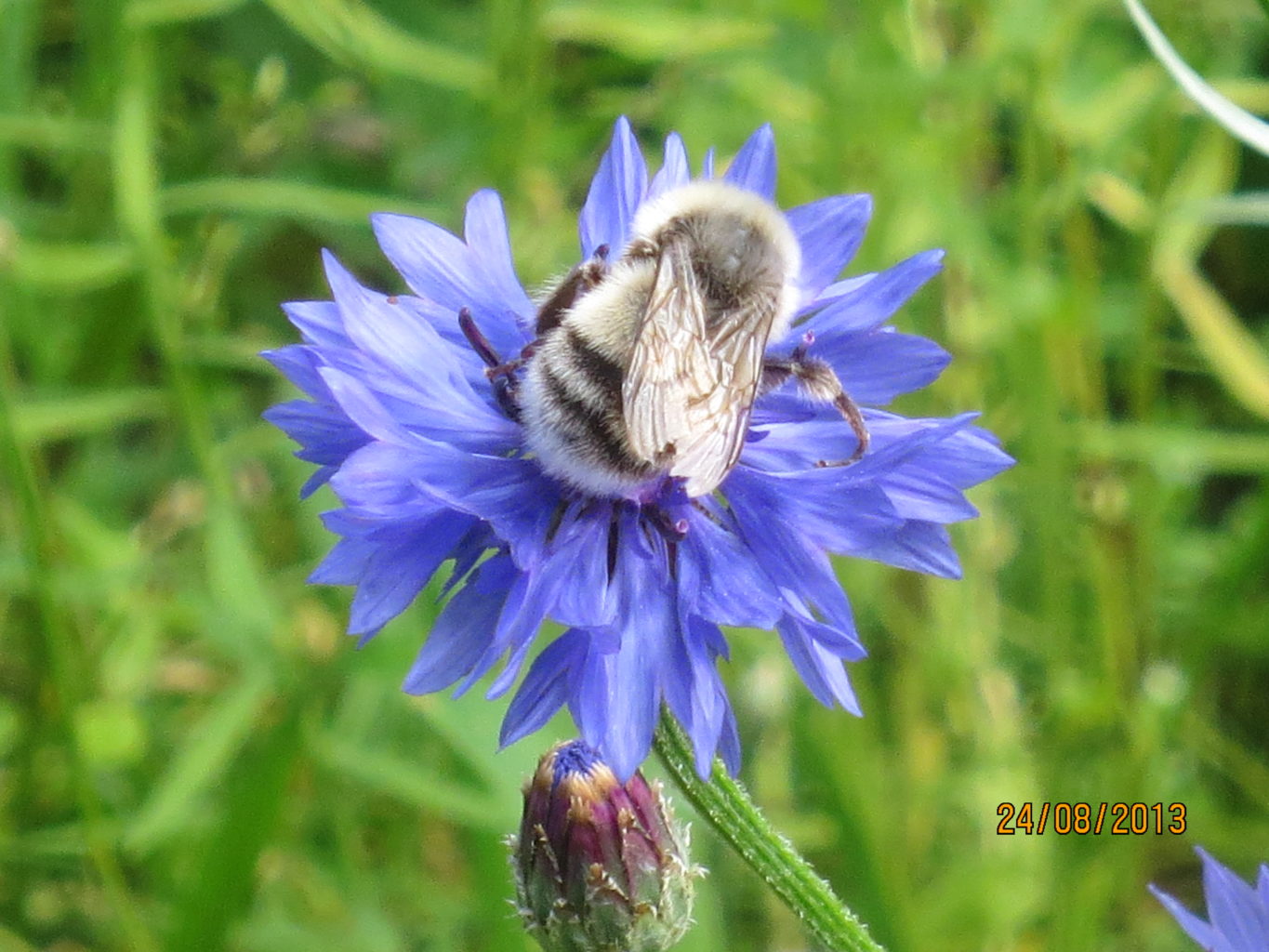 Valokuvaaja: Marja-Riitta Huovinen