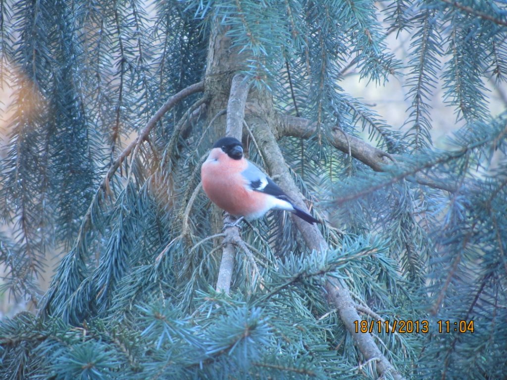 Valokuvaaja: Eeva Holttinen