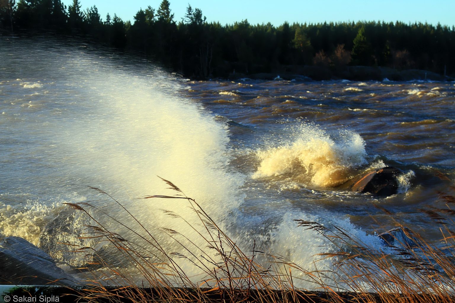 Valokuvaaja: Sakari Sipilä