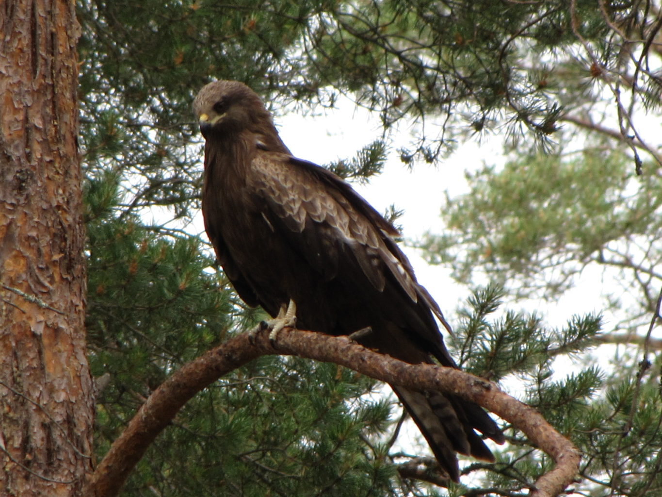 Valokuvaaja: Tuula Makkonen Valokuvaaja: Tuula Makkonen