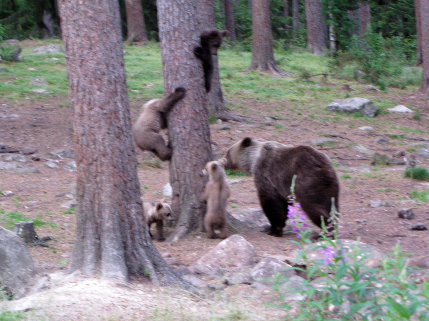 Valokuvaaja: Tuula Makkonen