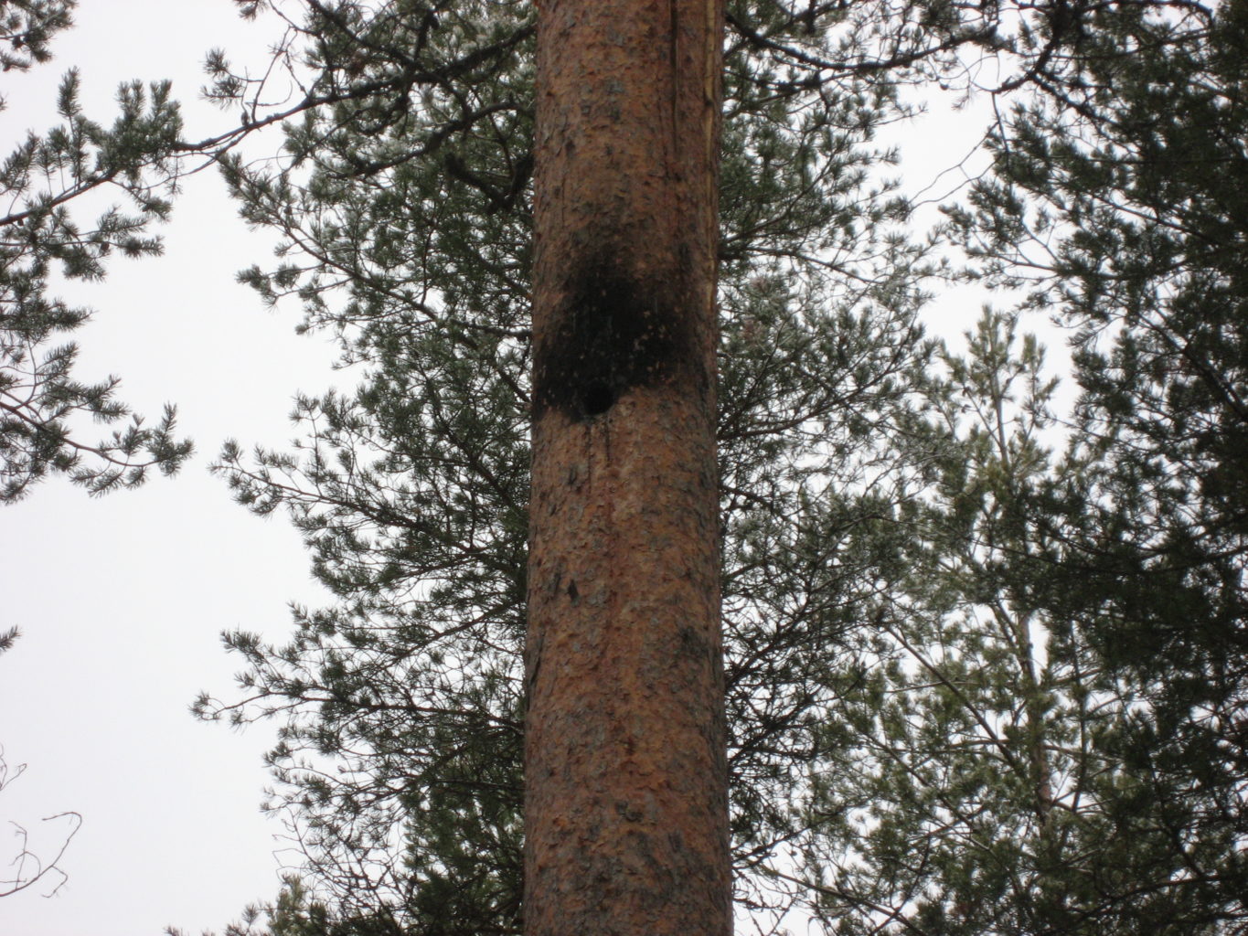 Valokuvaaja: Vesa Perttunen