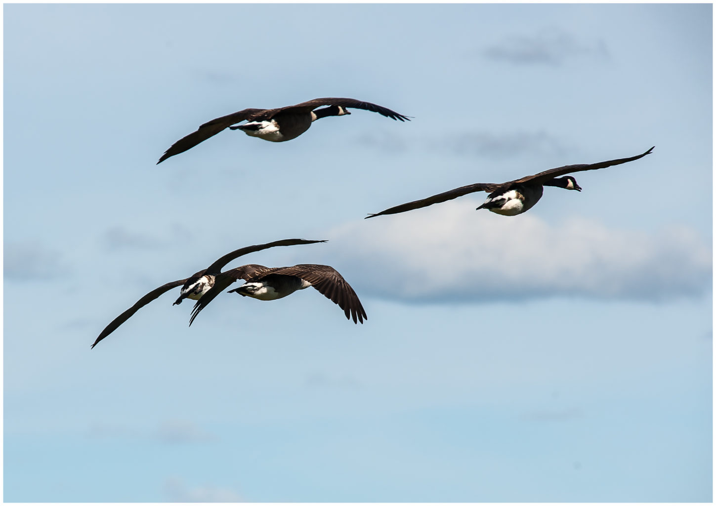 Valokuvaaja: Eino Hämäläinen