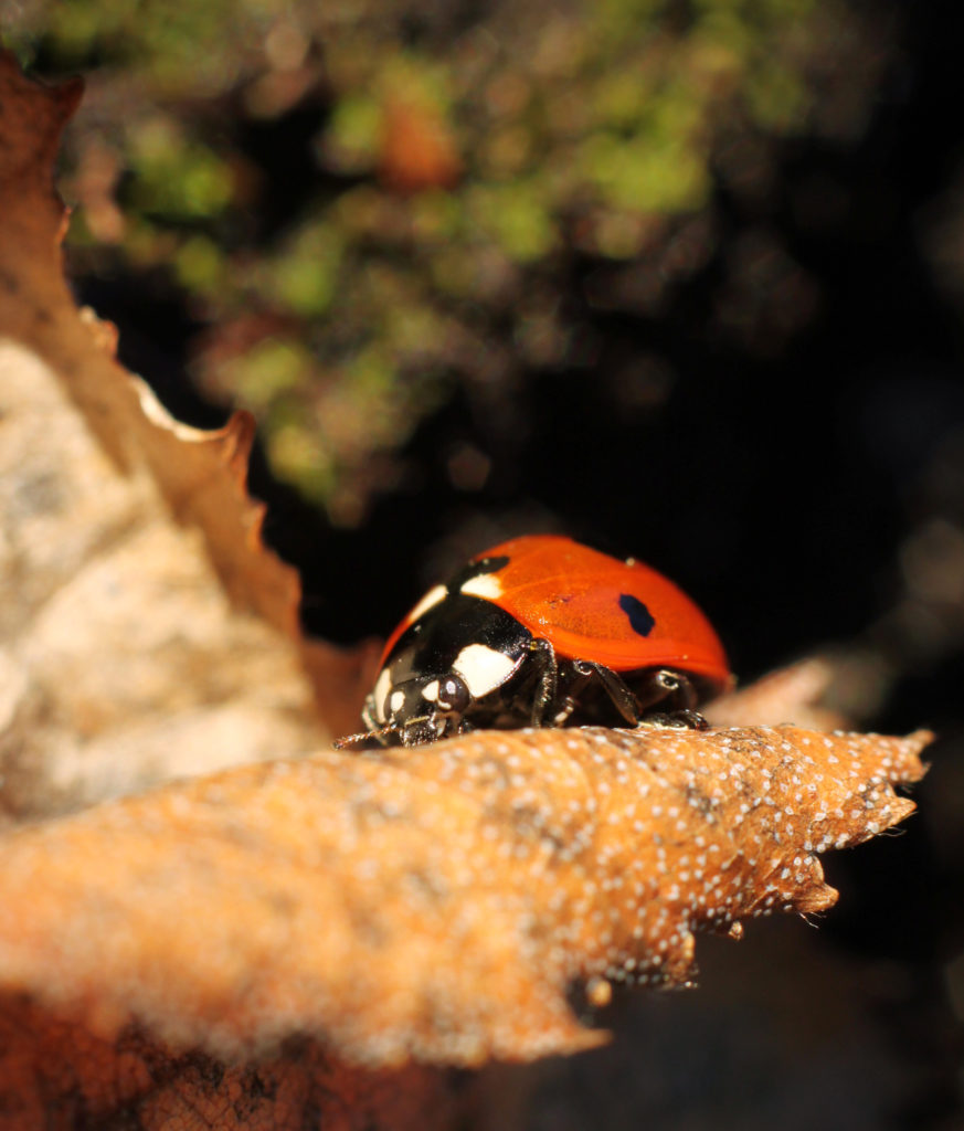 Valokuvaaja: Tarja Porkkala