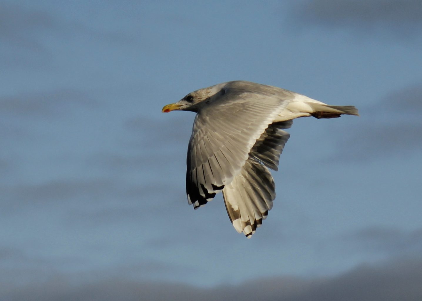 Valokuvaaja: Päivi Ronkainen