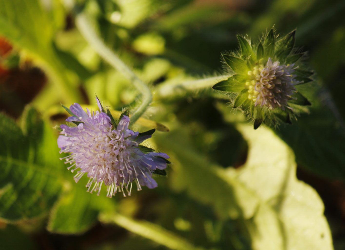 Valokuvaaja: Päivi Ronkainen