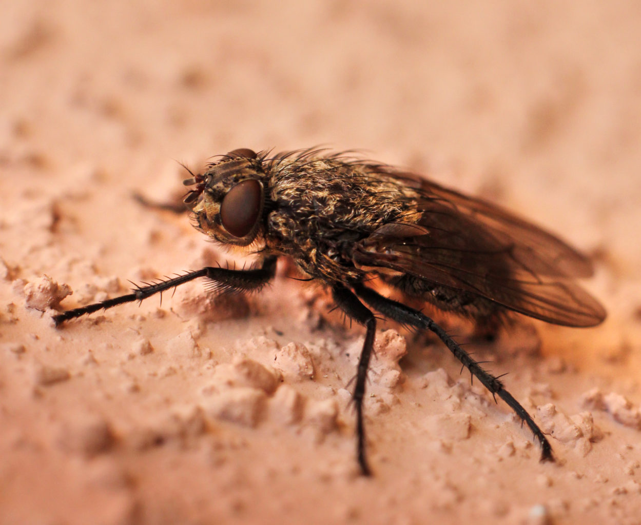 Valokuvaaja: Tarja Porkkala