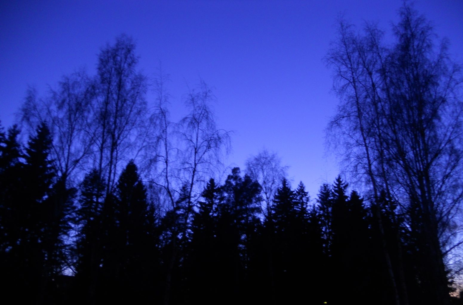 Valokuvaaja: Tiina Arlin