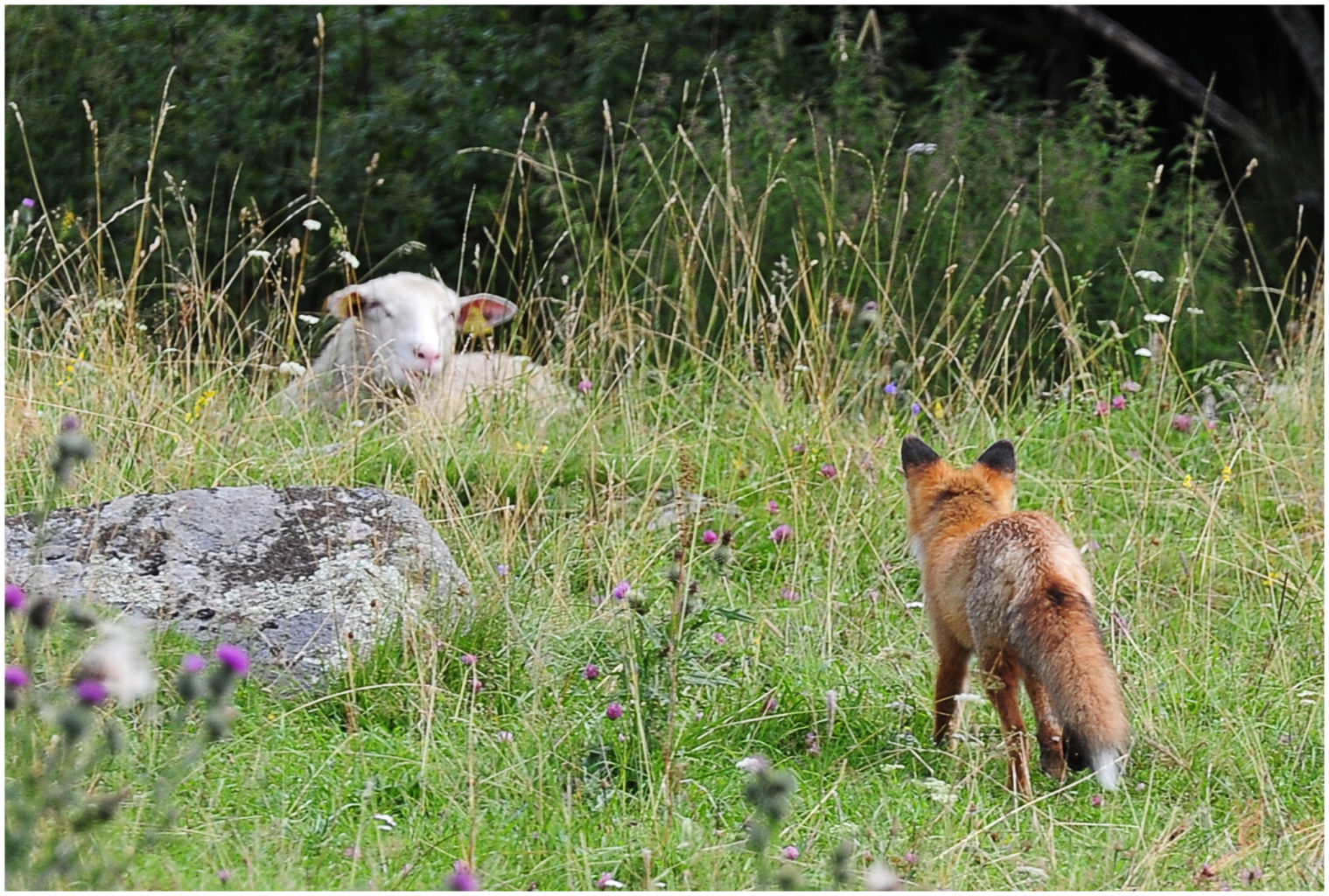 Valokuvaaja: Eino Hämäläinen