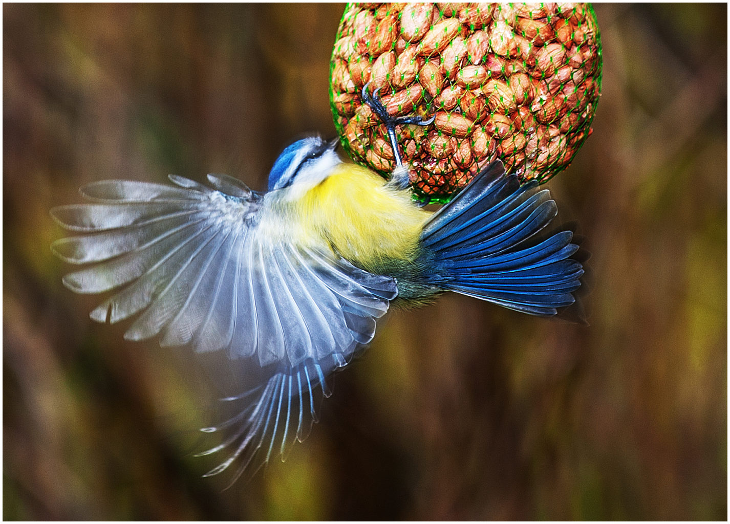 Valokuvaaja: Eino Hämäläinen