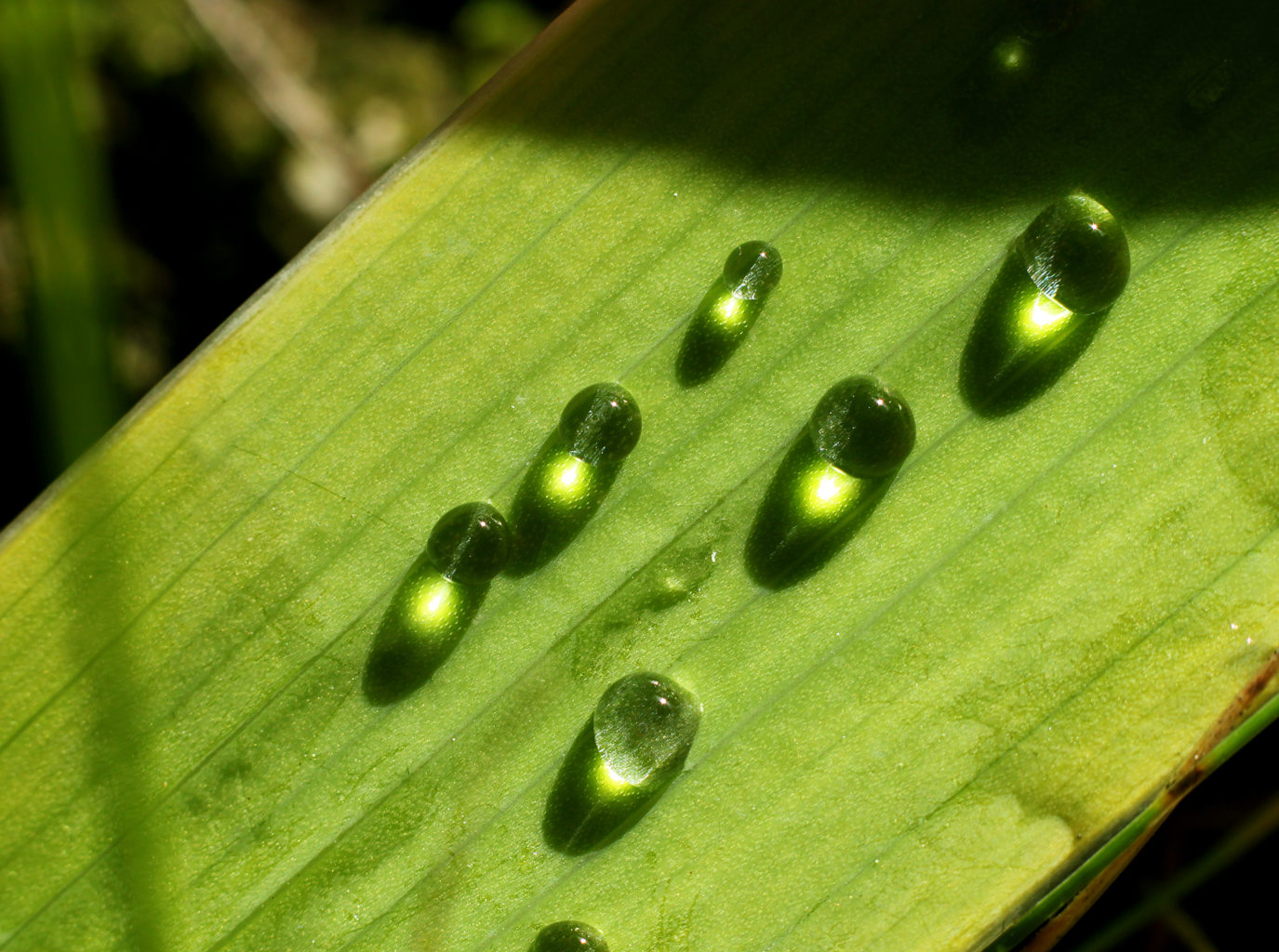 Valokuvaaja: Tarja Porkkala
