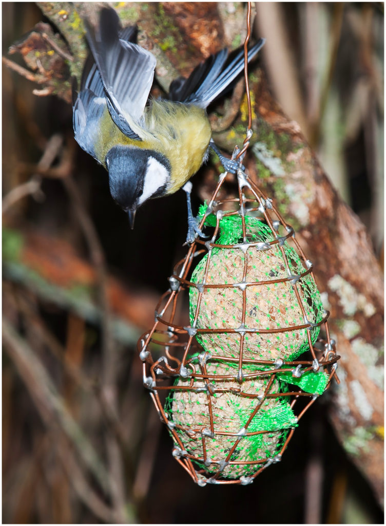 Valokuvaaja: Eino Hämäläinen