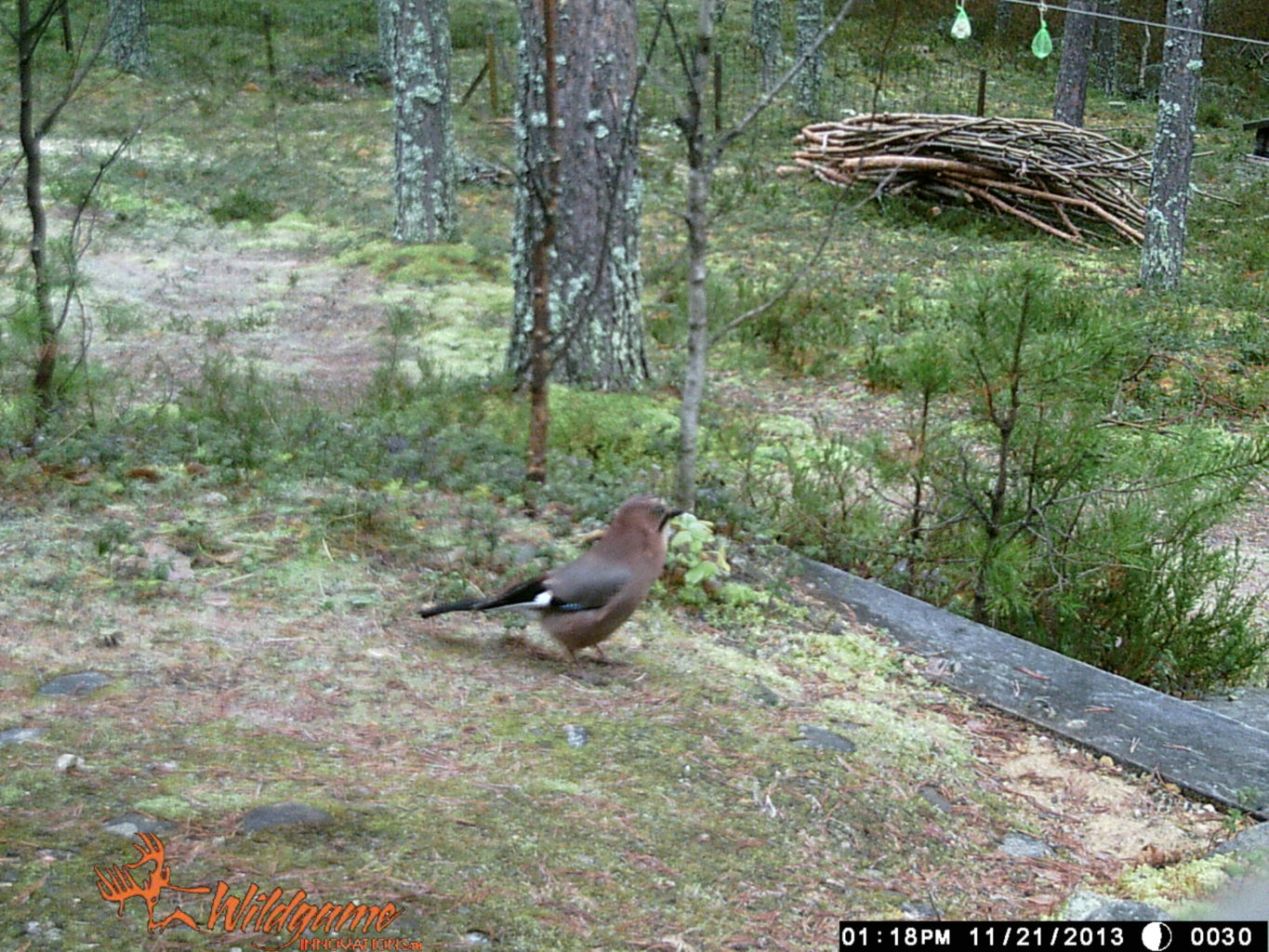 Valokuvaaja: Raili Sallinen