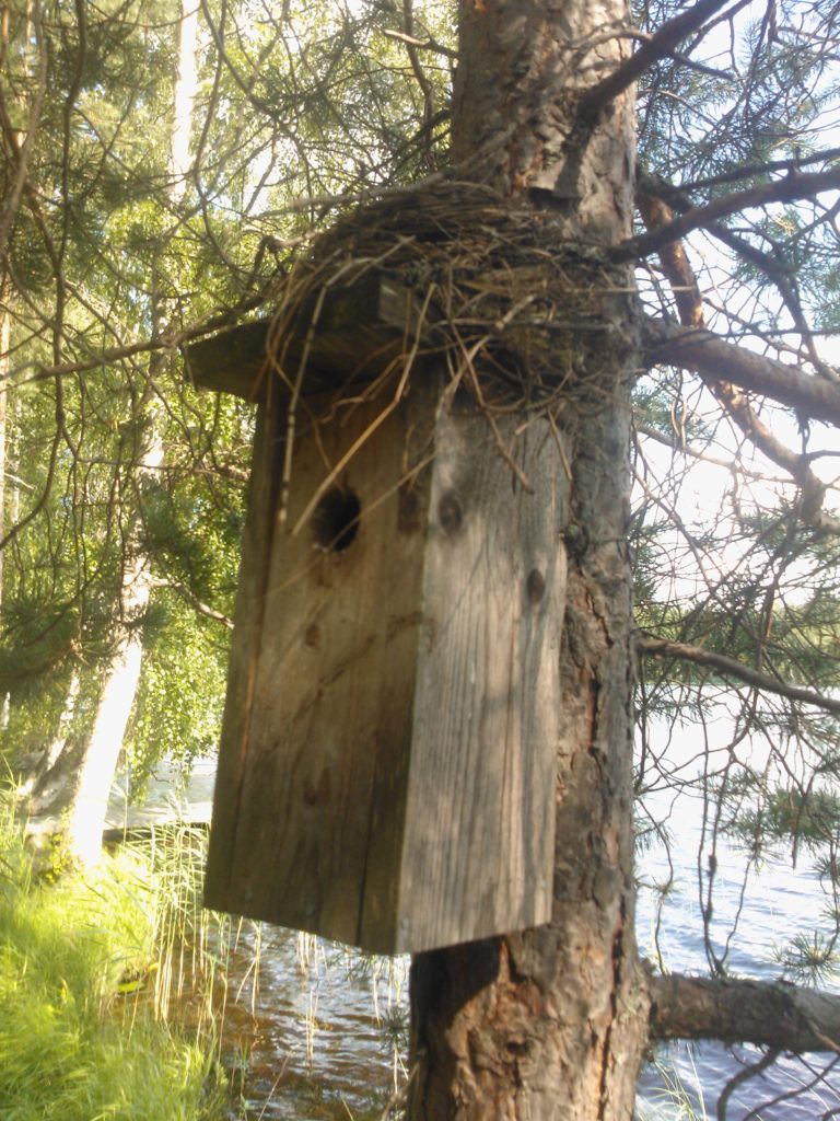 Valokuvaaja: Pirjo Lahtinen