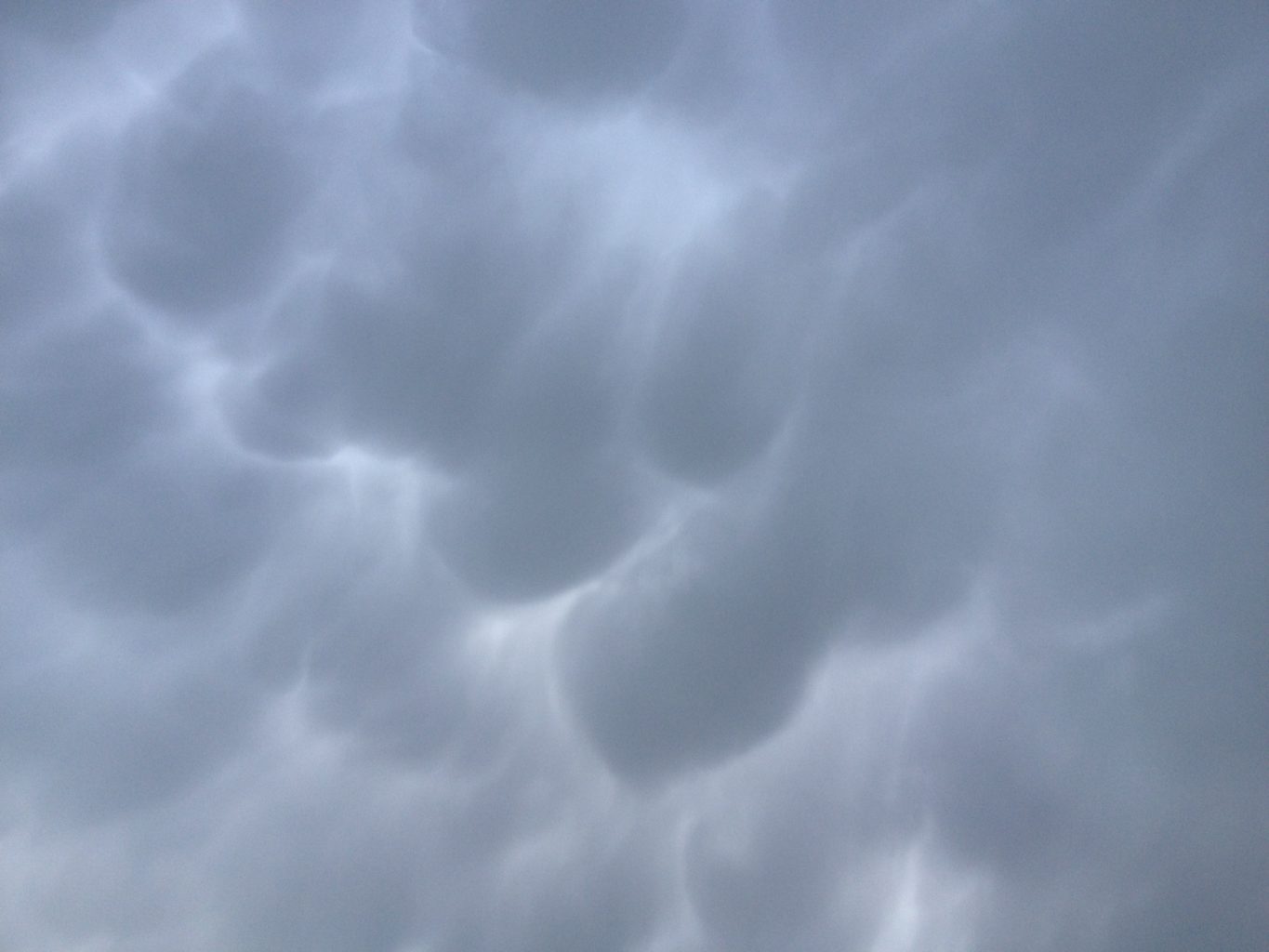 Valokuvaaja: Erja Korkalainen