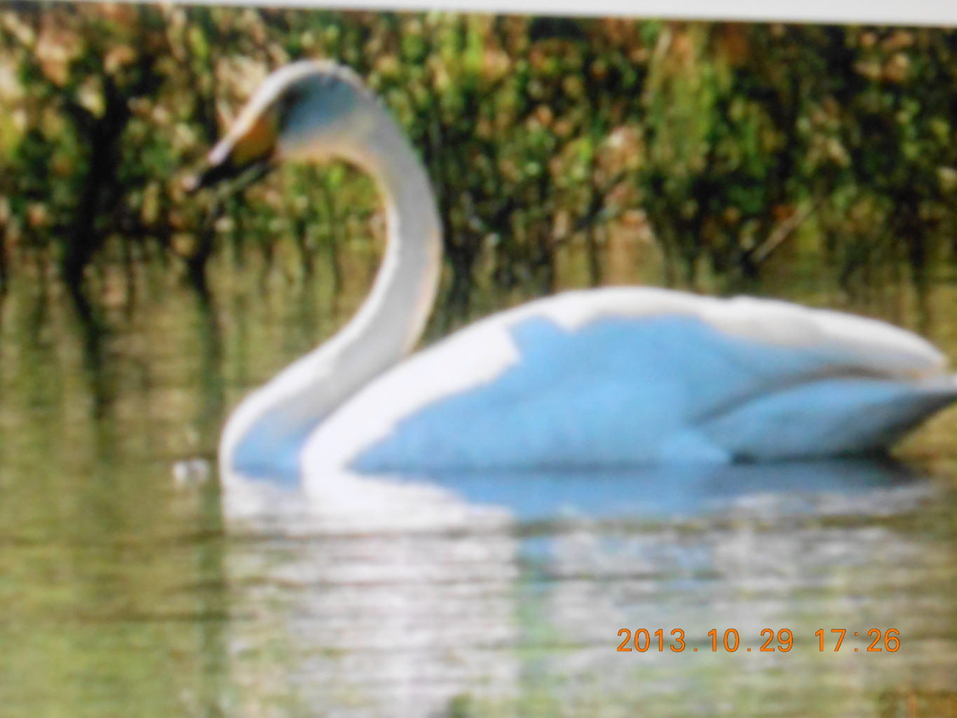 Valokuvaaja: Lea Mäyra Valokuvaaja: Lea Mäyra