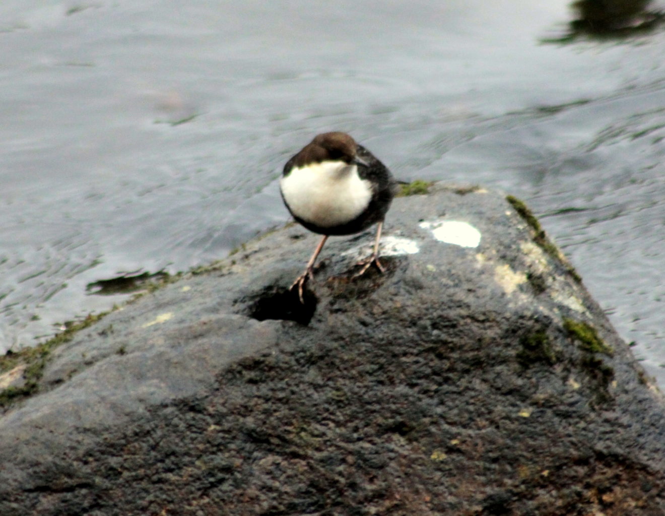 Valokuvaaja: tapio keinonen