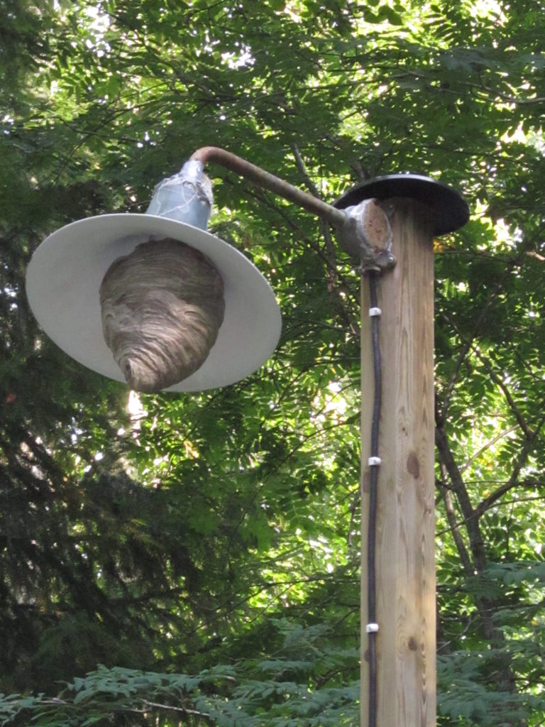 Valokuvaaja: Anne Pekkala