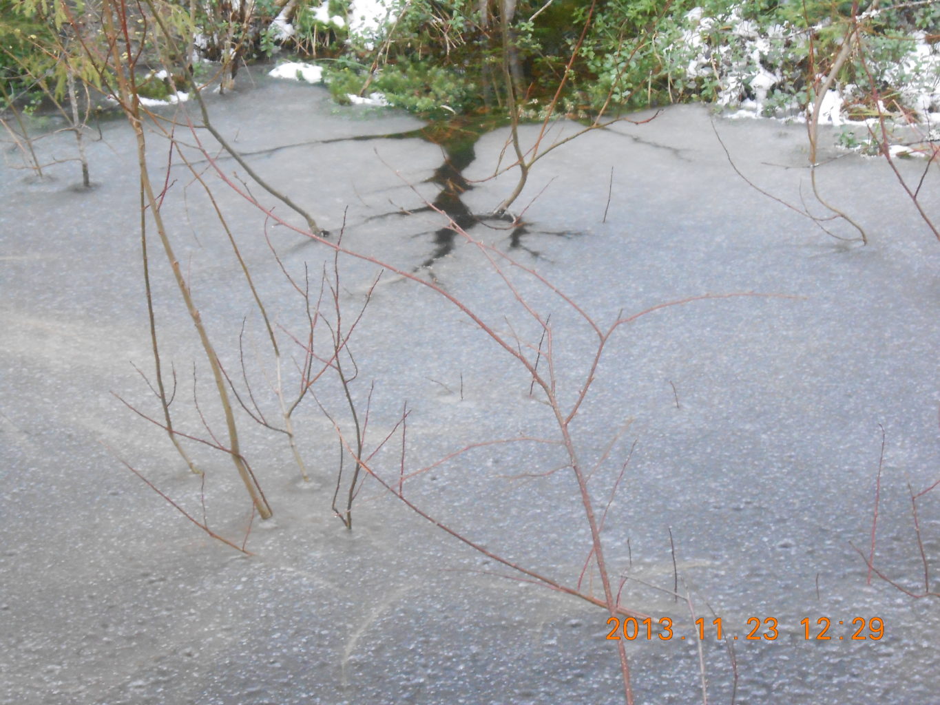 Valokuvaaja: lea mäyrä