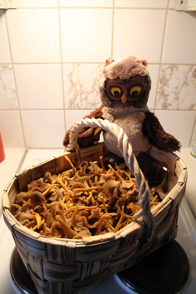 Valokuvaaja: Raija Salminen