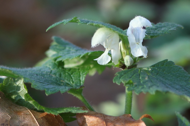 Valokuvaaja: Hanna Järvinen