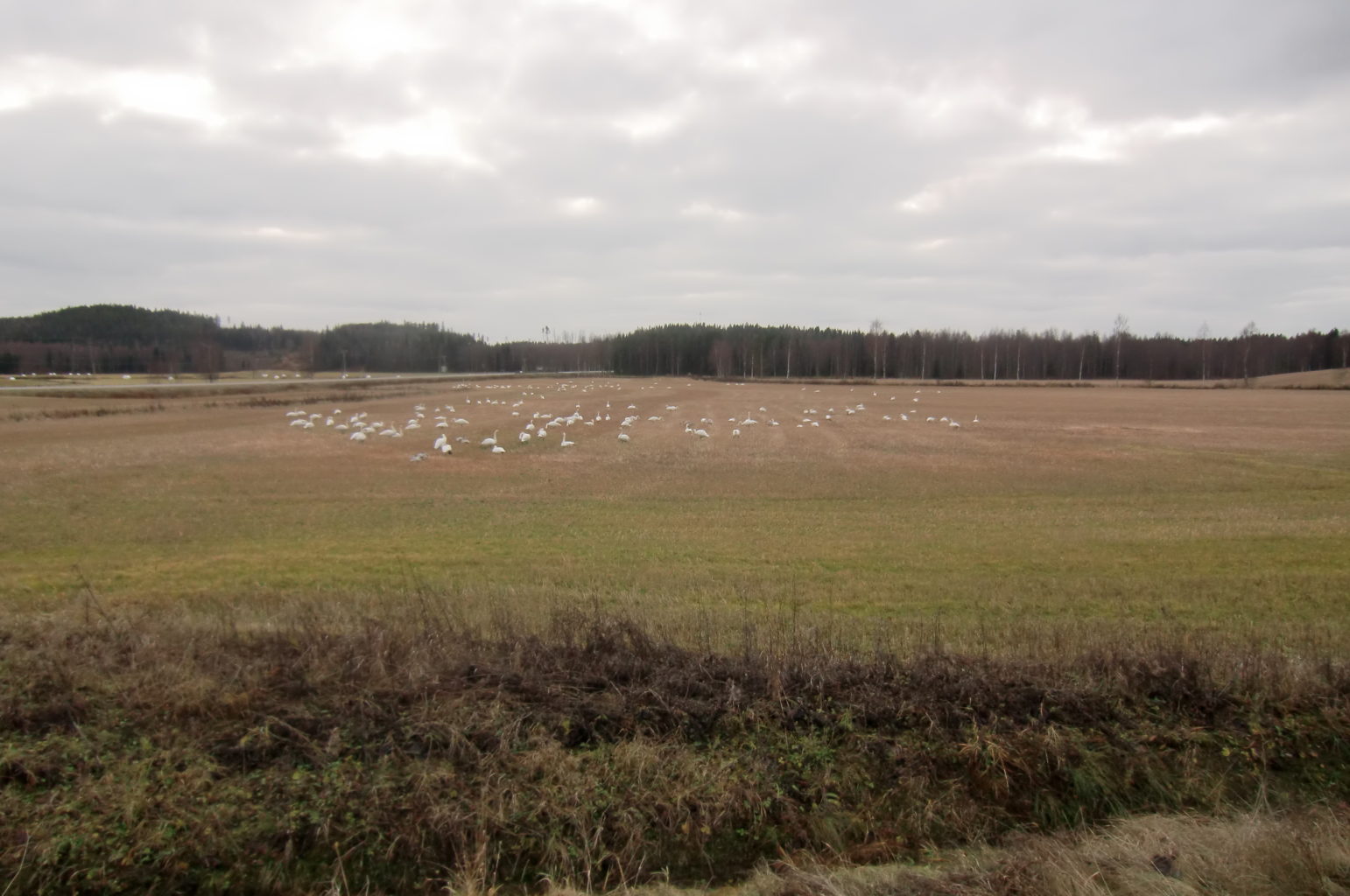 Valokuvaaja: Marita Palomäki Valokuvaaja: Marita Palomäki