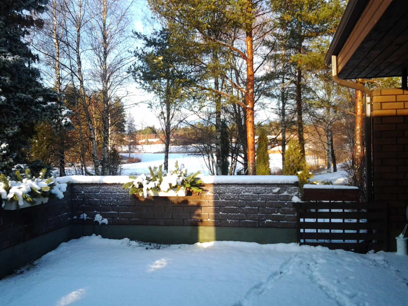 Valokuvaaja: raija  immonen