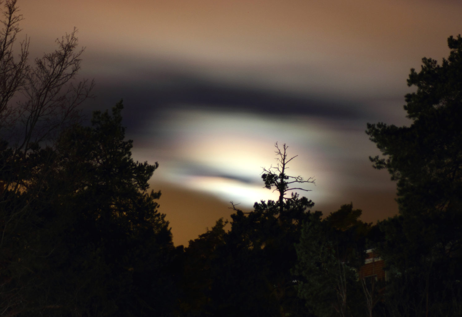 Valokuvaaja: Eija Lehto