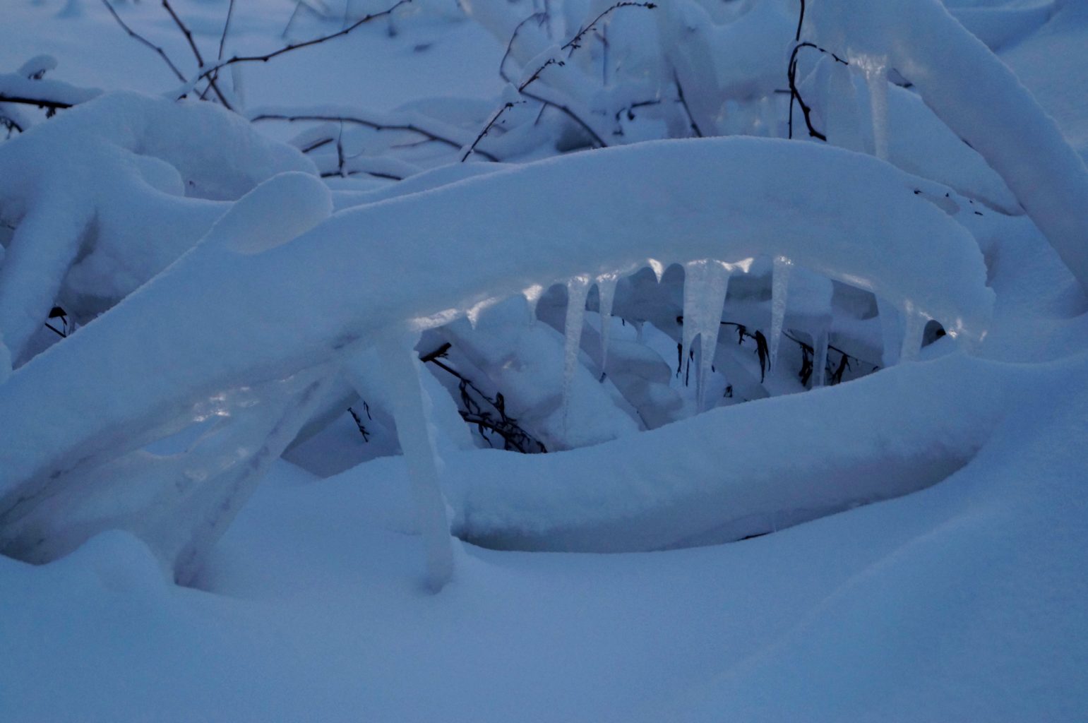 Valokuvaaja: Maarit Siitonen