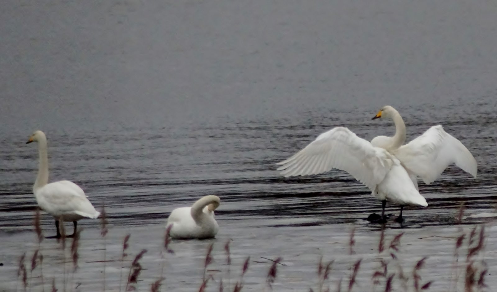 Valokuvaaja: Maarit Siitonen