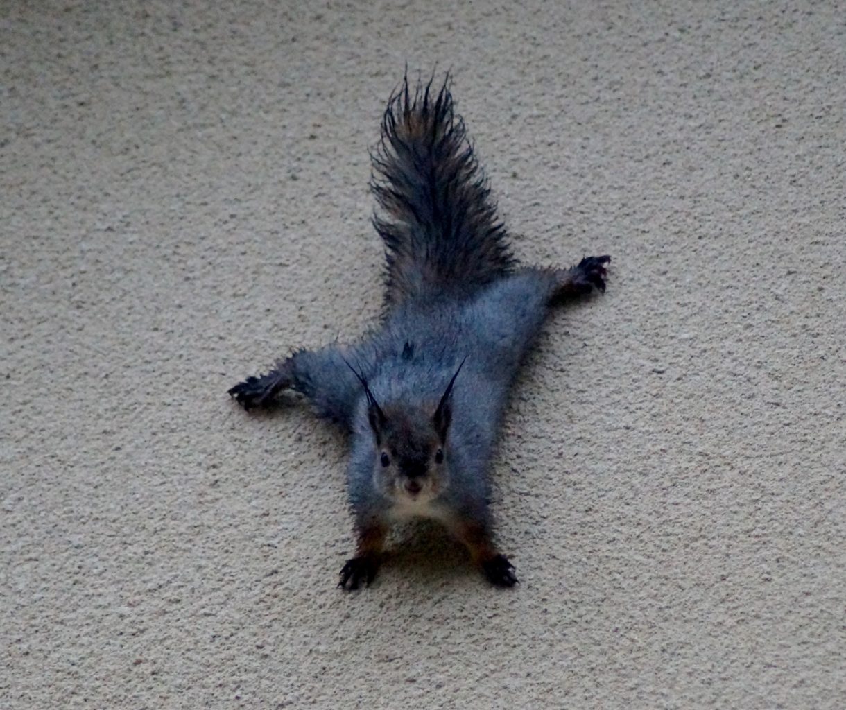 Valokuvaaja: Maarit Siitonen