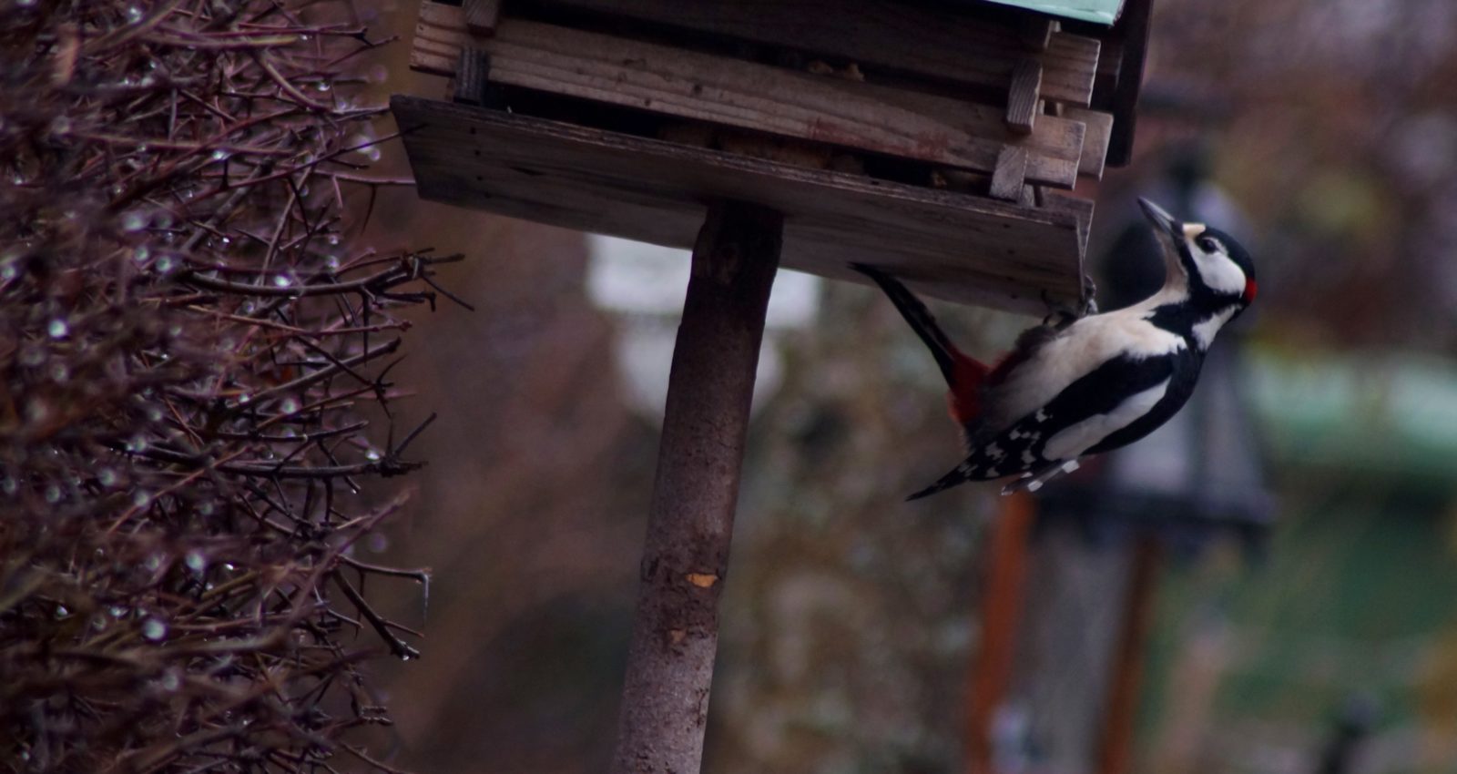 Valokuvaaja: Maarit Siitonen